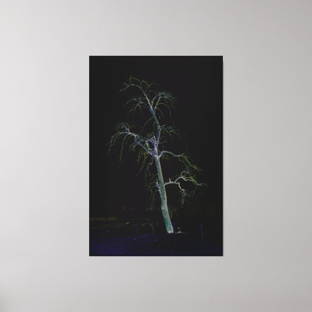 Dark Side 8 40x60 (100x150cm) waccna Canvas Print (Front)