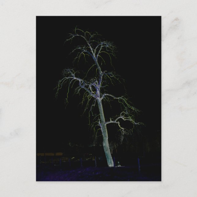 Dark Side 8 pccna Postcard (Front)