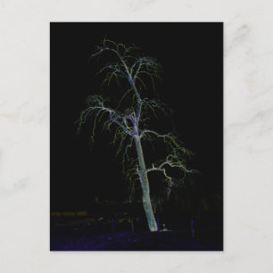 Dark Side 8 pccnm Postcard