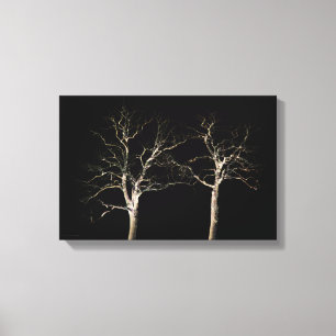 Dark Side 9 16.50x11 (41.25x27.5cm) waccnm Canvas Print