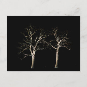 Dark Side 9 pccna Postcard