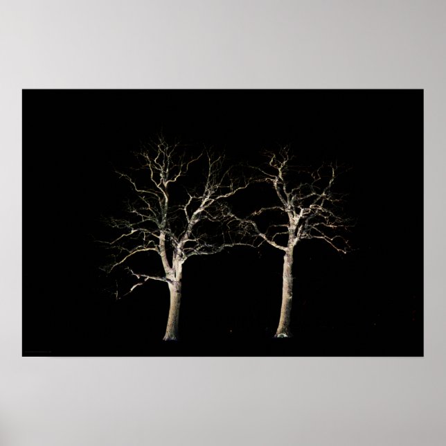 Dark Side 9 wapcna Poster (Front)