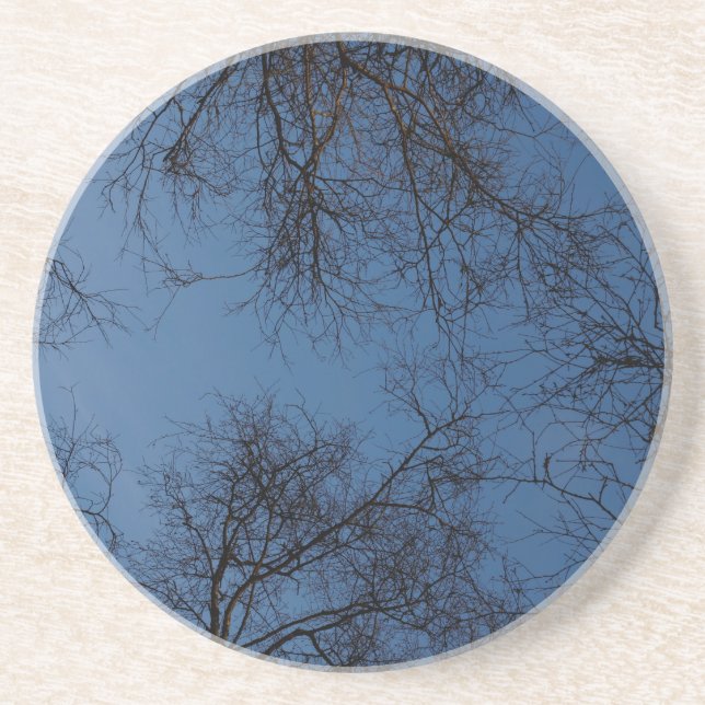 Dark silhouetted trees coaster (Front)