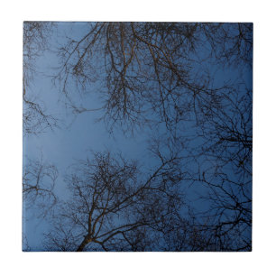 Dark silhouetted trees tile