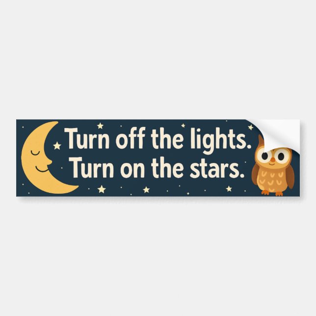 Dark Skies Bumper Sticker (Front)