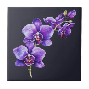 Dark Slate Gray, Purple Orchid Ceramic Tile