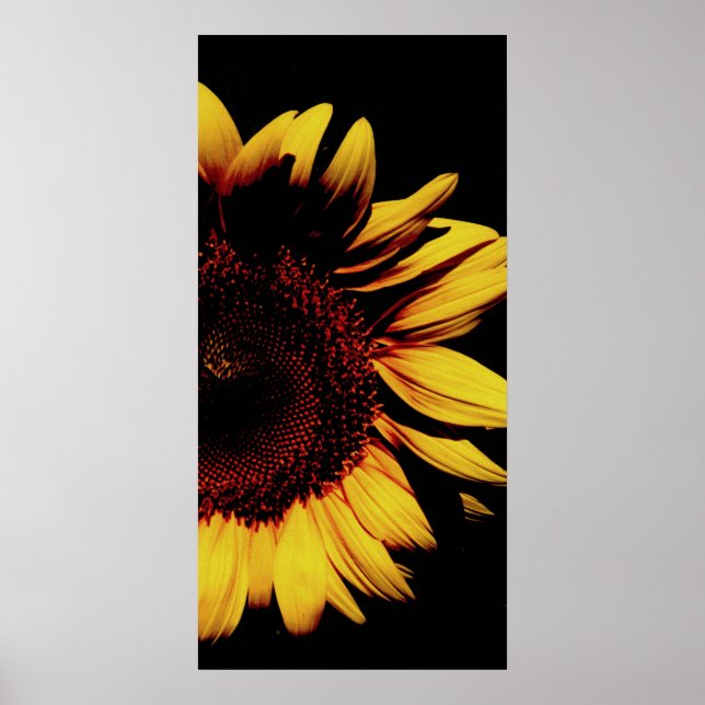 Dark Sun Poster (Front)