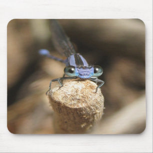 Darling Damselfly (1) Mousepad