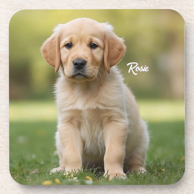 Darling Golden Retriever Personalised Coaster Set (Front)