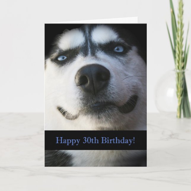 Darling Smiling Husky Funny 30th Birthday Card (Front)
