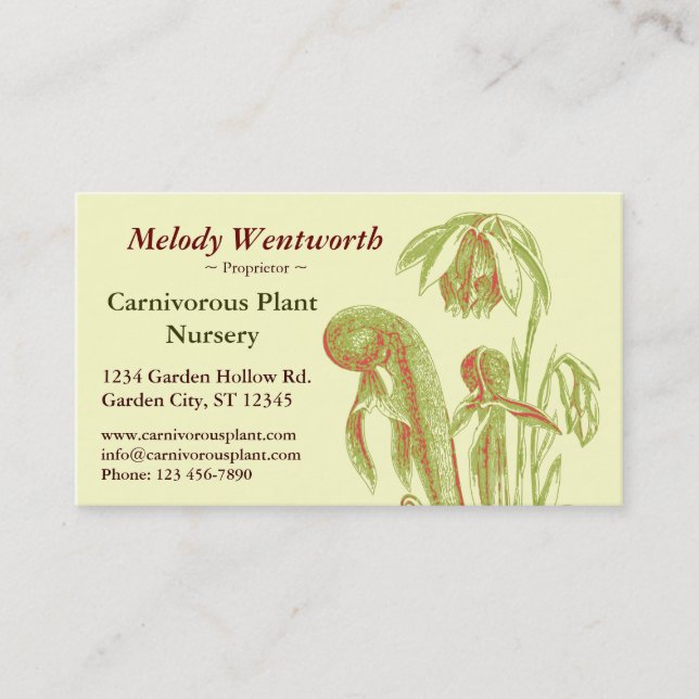 Darlingtonia californica Floral Business Card (Front)