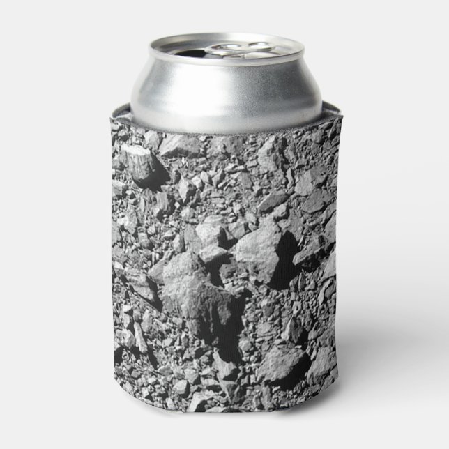 DART Dimorphos Asteroid Moonlet Surface Can Cooler (Can Front)