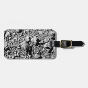 DART Dimorphos Asteroid Moonlet Surface Luggage Tag