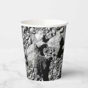 DART Dimorphos Asteroid Moonlet Surface Paper Cups