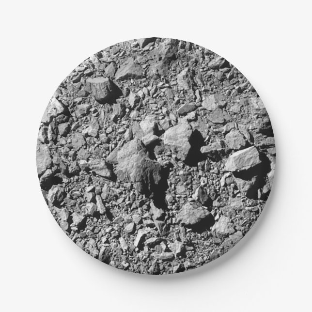 DART Dimorphos Asteroid Moonlet Surface Paper Plate (Front)