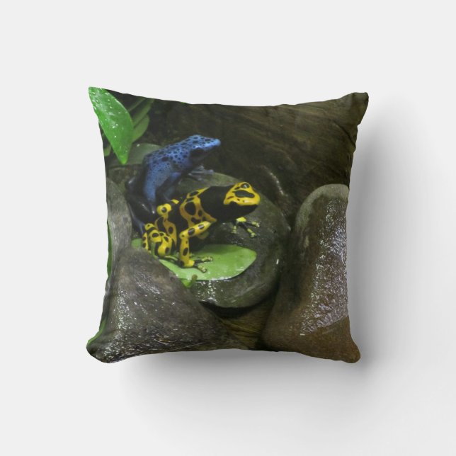 Dart Frog Buddies Cushion (Front)