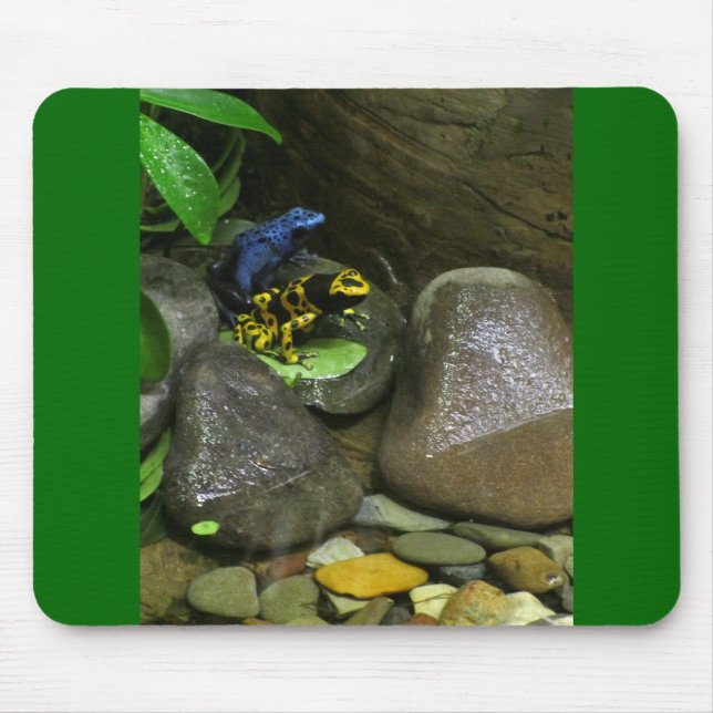 Dart Frog Buddies Mouse Pad (Front)
