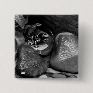 Dart Frog Friends B+W 15 Cm Square Badge