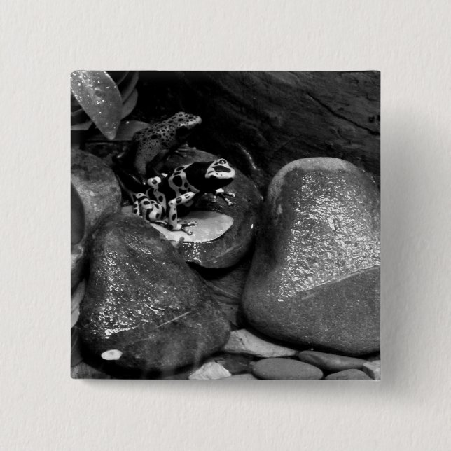 Dart Frog Friends B+W 15 Cm Square Badge (Front)