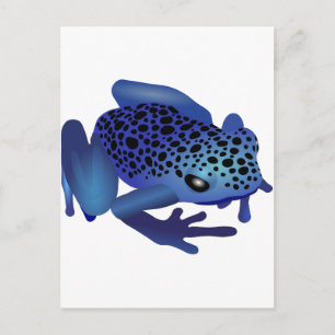 Dart Frog Postcard