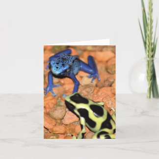 Dart Frogs Note Card