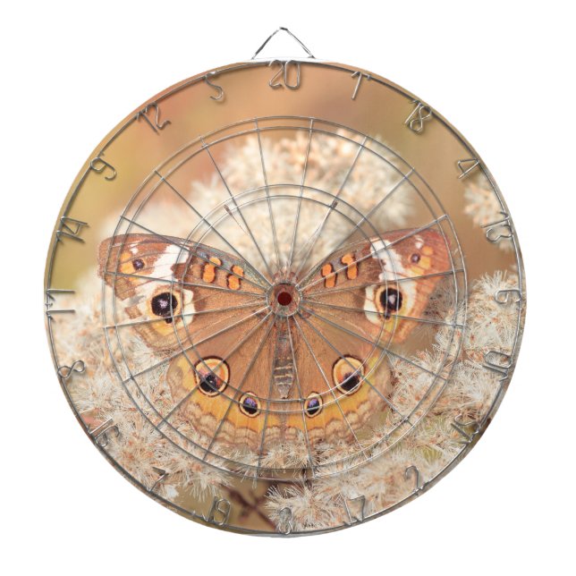 Dartboard with buckeye butterfly (Front)