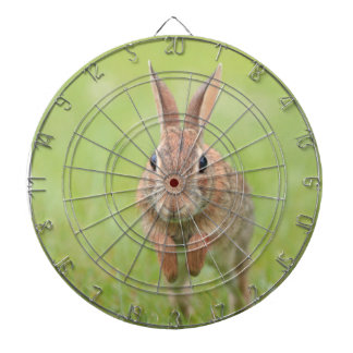 Dartboard with hopping bunny rabbit picture