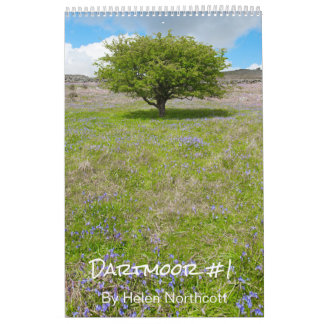 Dartmoor Calendar #1 (Medium A3)