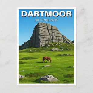 Dartmoor National Park Horse Travel Postcard
