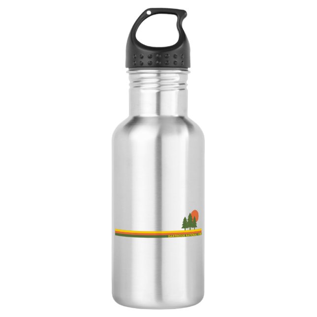 Dartmoor National Park Pine Trees Sun 532 Ml Water Bottle (Front)