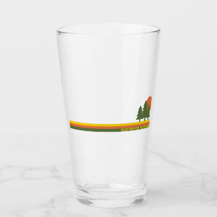 Dartmoor National Park Pine Trees Sun Glass