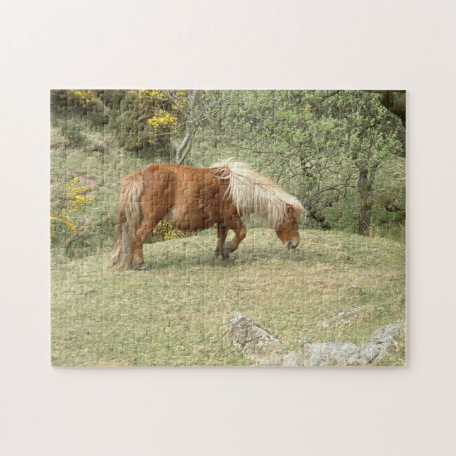 Dartmoor Ponny, Wild English Horses /Britain Jigsaw Puzzle (Horizontal)