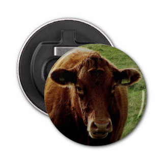 Dartmoor South Devon Cow Looking Bottle Opener