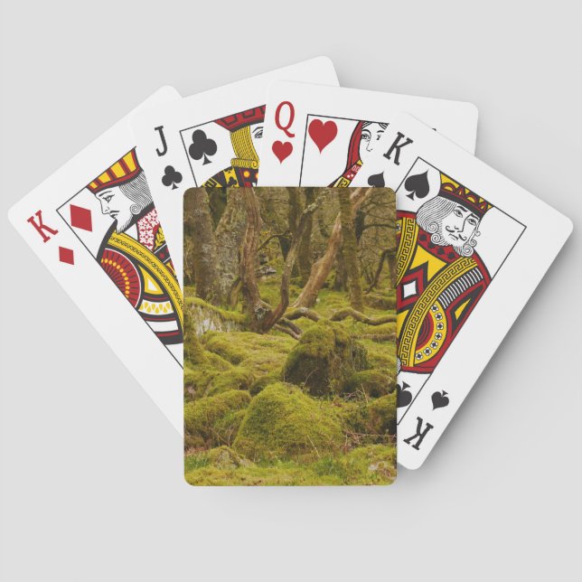 Dartmoor Woodland Playing Cards (Back)