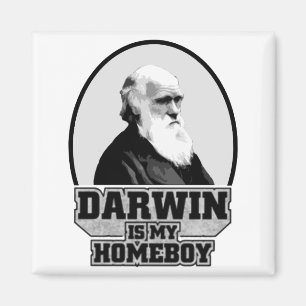 Darwin Is My Homeboy Magnet