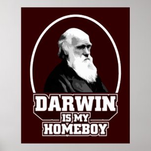 Darwin Is My Homeboy Poster