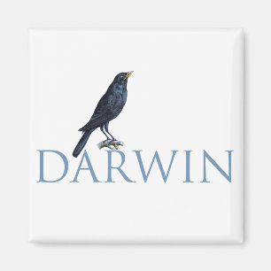 Darwin Magnet