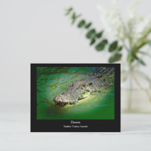 Darwin Northern Territory - Crocodile Postcard