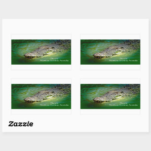Darwin Northern Territory - Crocodile Stickers
