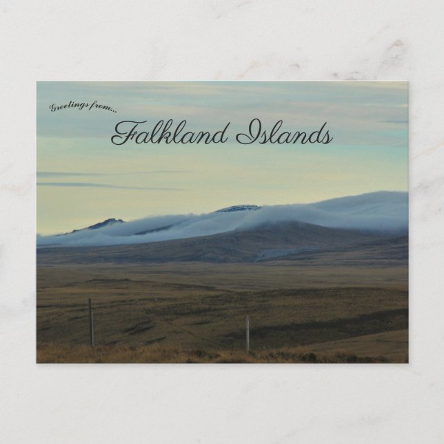 Darwin Road Falkland Islands Postcard (Front)