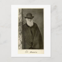 Darwin standing next to a pillar, published 1908