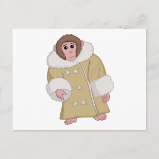 Darwin the Ikea Monkey Postcard