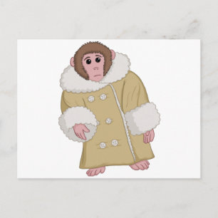 Darwin the Ikea Monkey Postcard