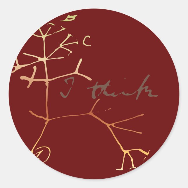 Darwin tree of life: I think Classic Round Sticker (Front)