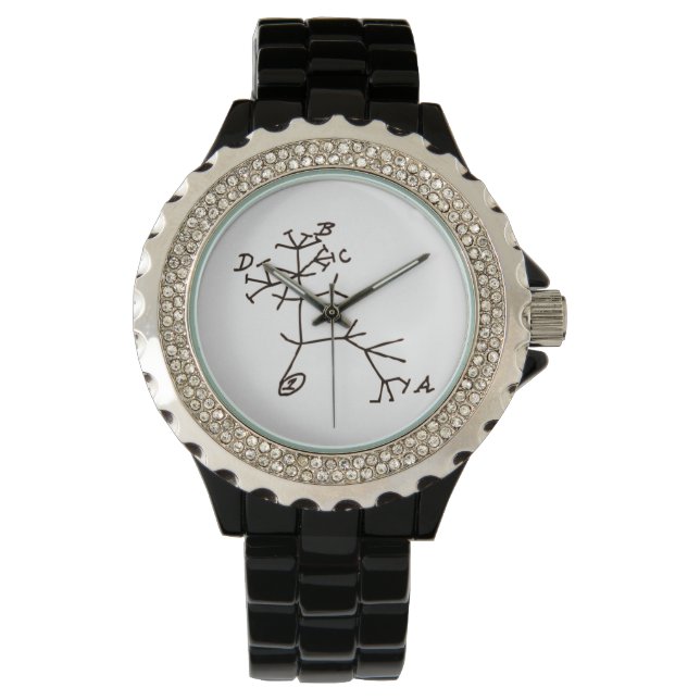 Darwin Tree of Life Watch (Front)