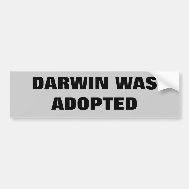 Darwin Was Adopted Bumper Sticker (Front)