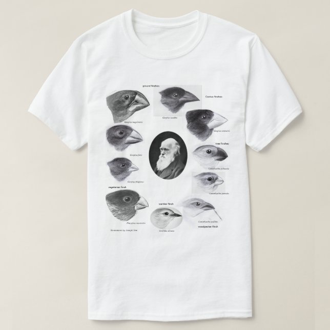Darwin's finches T-Shirt (Design Front)