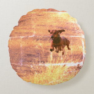 Daschund Dog Jumping in The Field Photo Round Cushion