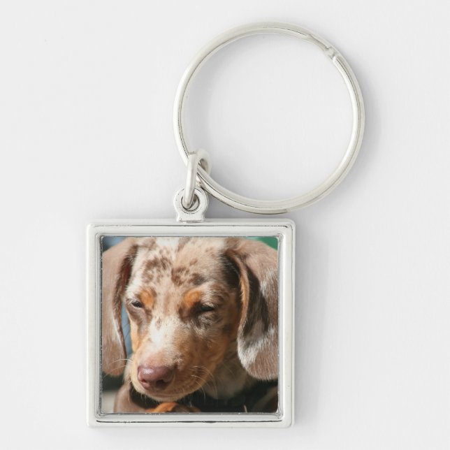 Daschund Dog Keychain (Front)