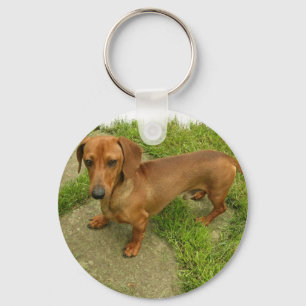 Daschund Keychain